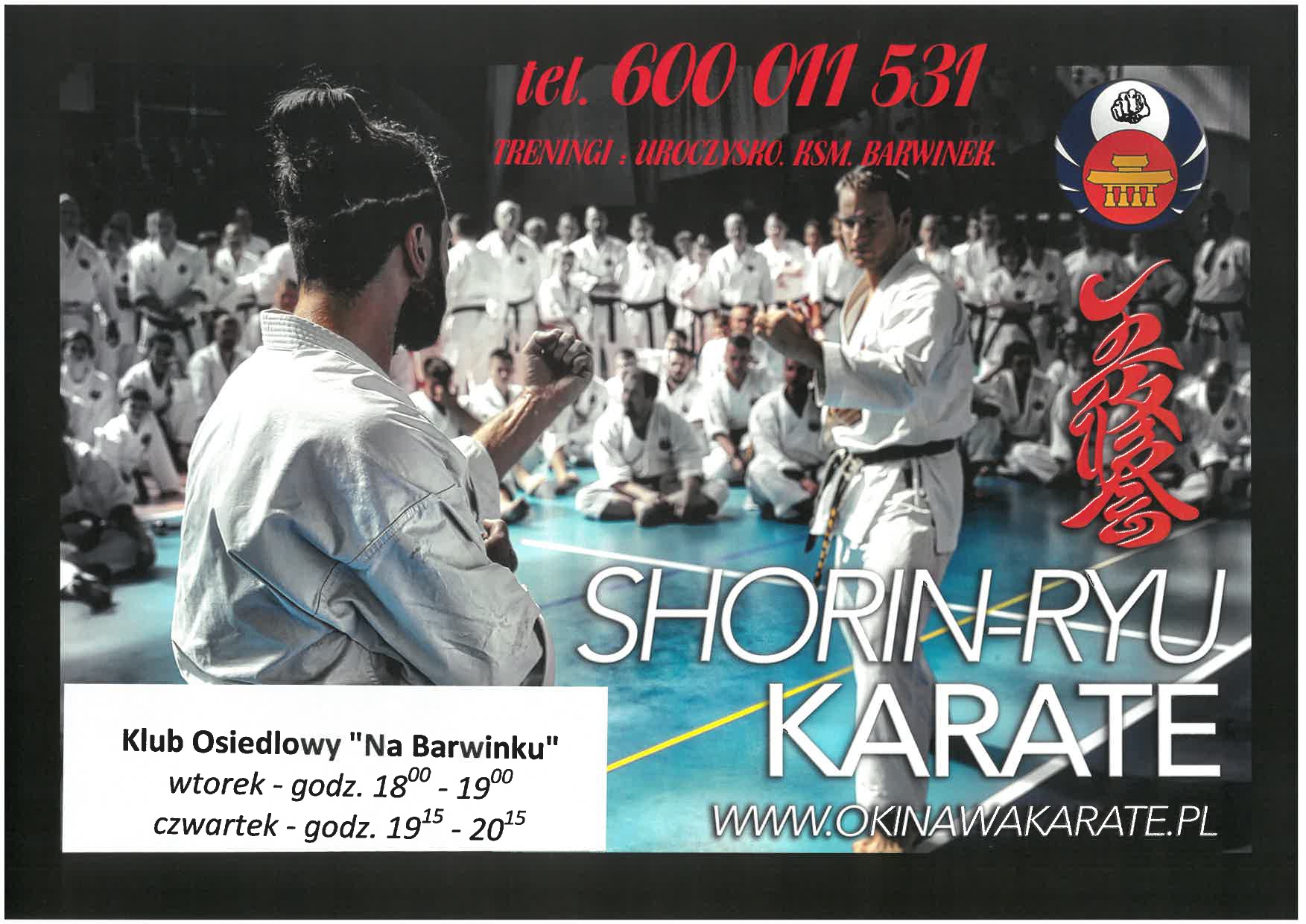 Zajęcia_karate_page-0001.jpg